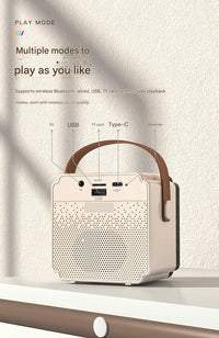 Blue Fun Portable Party Speaker - Karaoke Machine with Two Wireless Microphones and Voice Effects